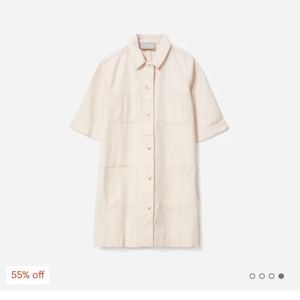 Everlane The Chore Mini Dress